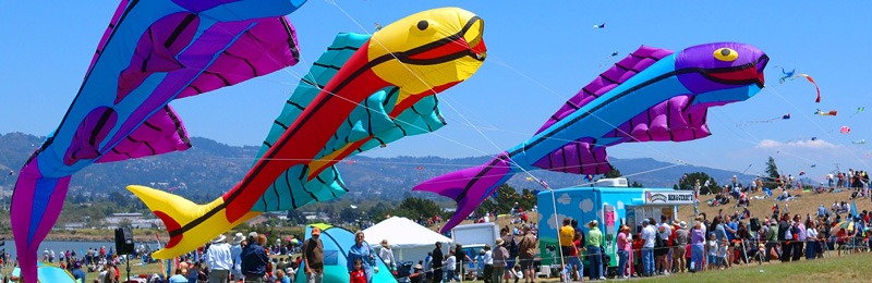 Kites flying